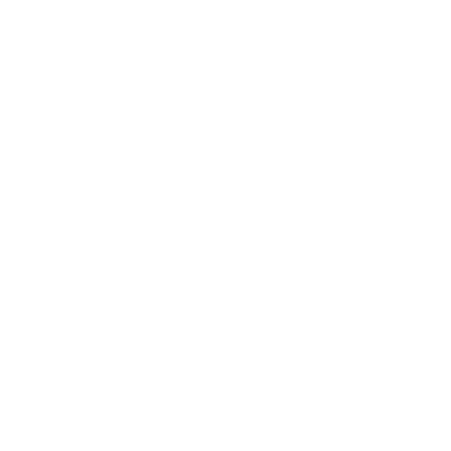 White sparkles and lens flare light